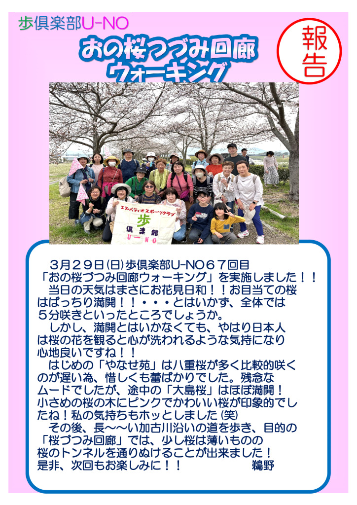 桜つづみ　報告ＰＯＰのサムネイル